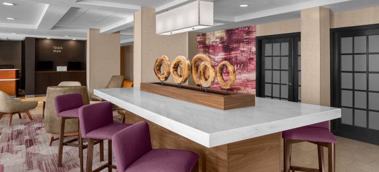 底特律布莱顿万怡酒店(Courtyard Detroit Brighton)图片