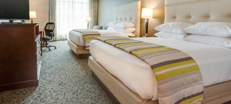 匹兹堡机场-赛特勒斯里奇德鲁里套房酒店(Drury Inn & Suites Pittsburgh Airport Settlers Ridge)图片