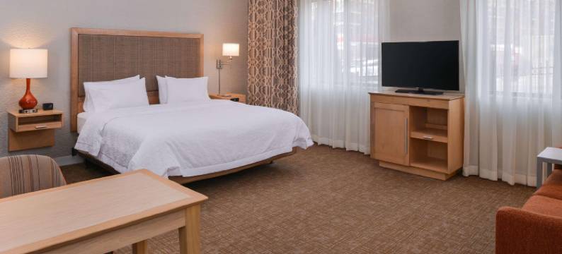 丹佛-斯佩尔大道欢朋套房酒店(Hampton Inn & Suites Denver-Speer Boulevard)图片