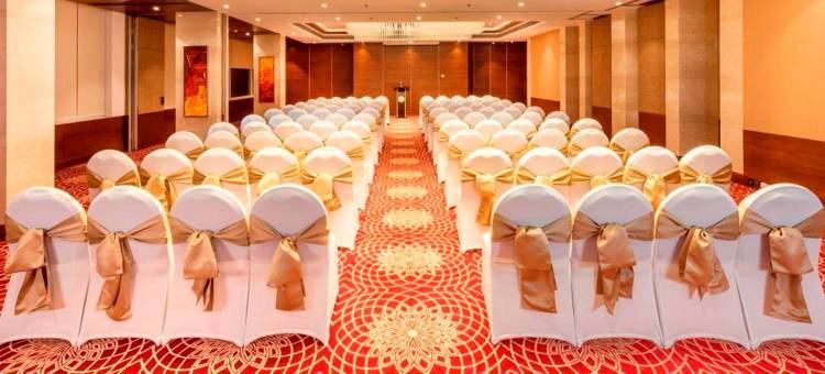 勒克瑙柠檬树酒店(Lemon Tree Hotel Lucknow)图片