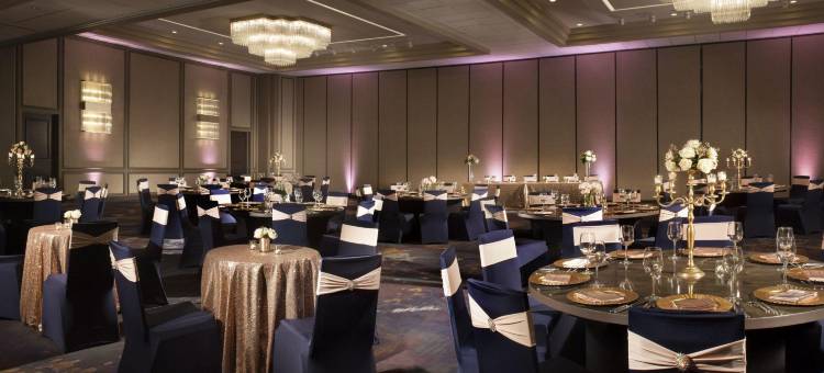 达拉斯/沃斯堡机场万豪酒店(Dallas/Fort Worth Airport Marriott)图片