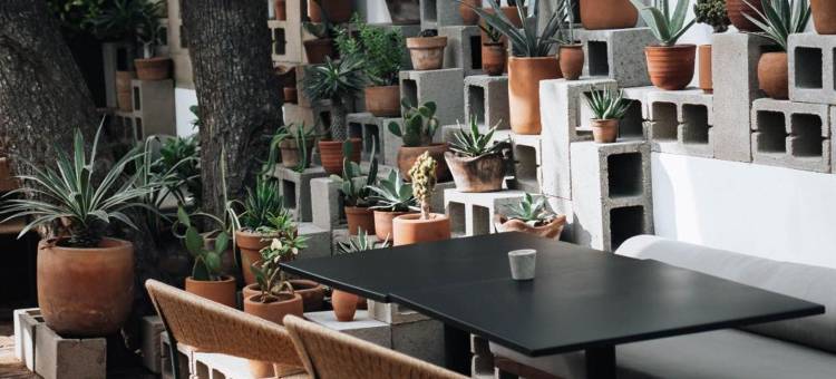 Drift San Jose del Cabo, a Member of Design Hotels图片