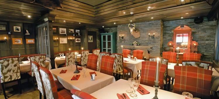 北极城市酒店(Arctic City Hotel)图片