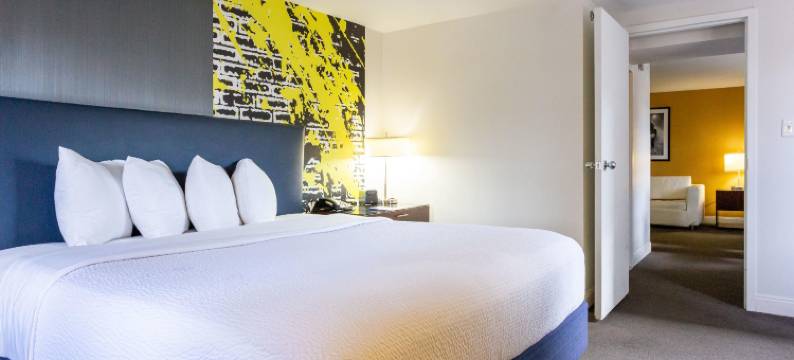 巴尔的摩内港舒适套房酒店(Comfort Inn & Suites Baltimore Inner Harbor)图片