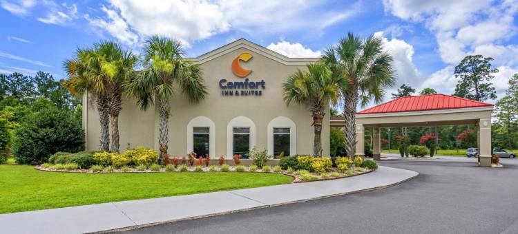 沃尔特伯勒I-95舒适套房酒店(Comfort Inn & Suites Walterboro I-95)图片