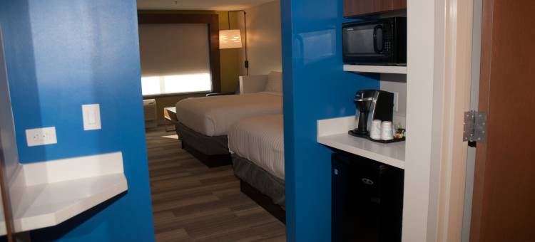 智选假日套房酒店迪凯特 by IHG(Holiday Inn Express & Suites Decatur by IHG)图片