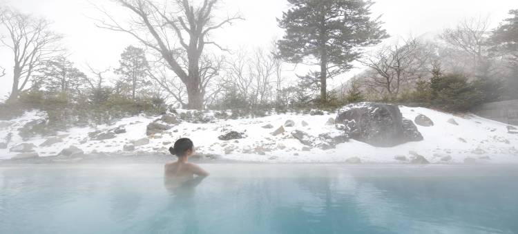 日光丽思卡尔顿酒店(The Ritz-Carlton, Nikko)图片