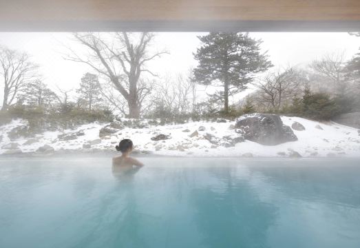 The Ritz-Carlton, Nikko Hotel Overview