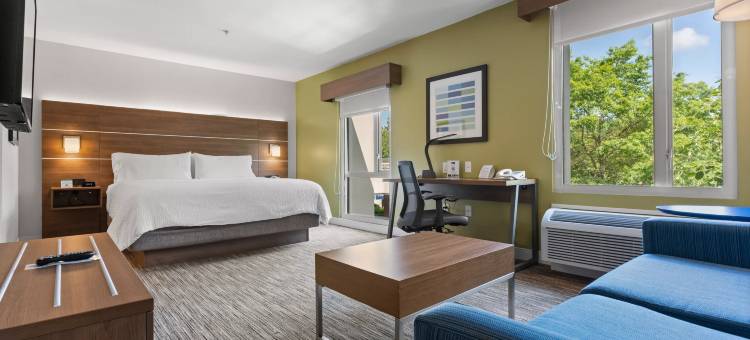 智选假日套房酒店萨里(Holiday Inn Express & Suites Surrey)图片
