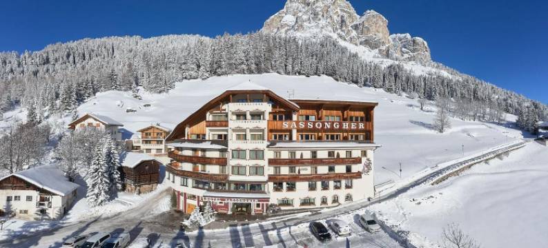 莎颂葛雷酒店(Hotel Sassongher)图片