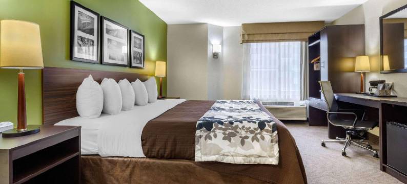 舒眠酒店 - 近 I-80 及 I-94(Sleep Inn Near I-80 and I-94)图片