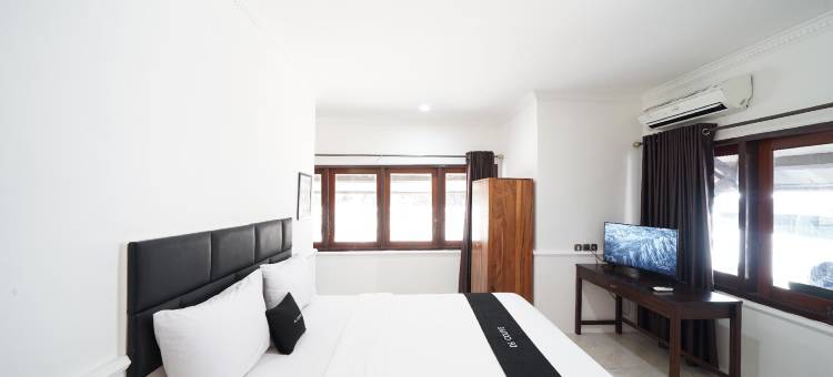 DS CoLive 玛丽娜(DS CoLive Marina)图片