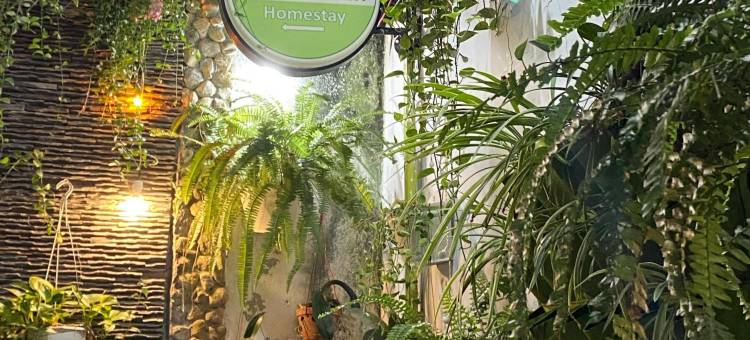 哈罗西贡家庭旅馆(Hello SaiGon Homestay)图片