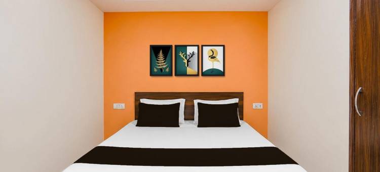 Hotel O Discovery Inn图片