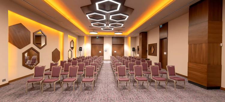 开塞利-杜文诺努假日酒店(Holiday Inn Kayseri - Duvenonu)图片