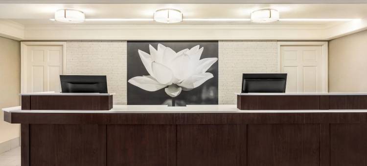 圣安东尼奥I-35北托亚弗韦恩拉昆塔温德姆酒店(La Quinta Inn by Wyndham San Antonio I-35 N at Toepperwein)图片