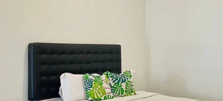 Twin House Jogja图片