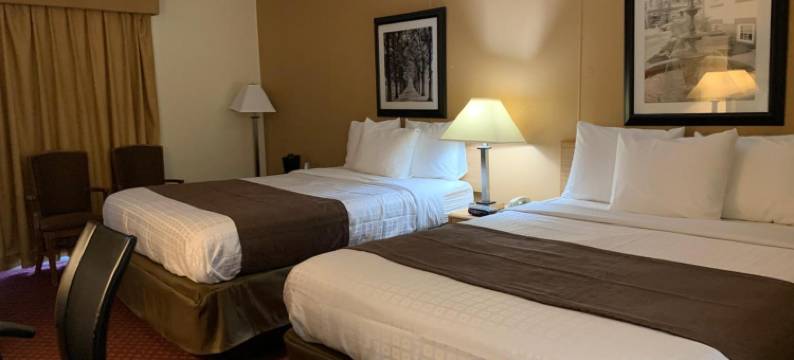 埃本斯伯格红地毯套房酒店(Red Carpet Inn and Suites Ebensburg)图片