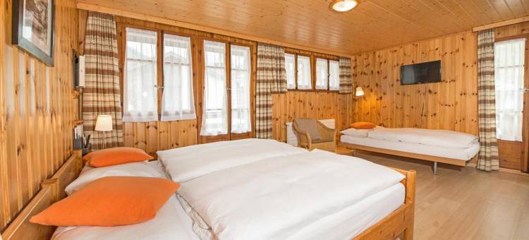 阿尔皮纳酒店(Hotel Alpina)图片