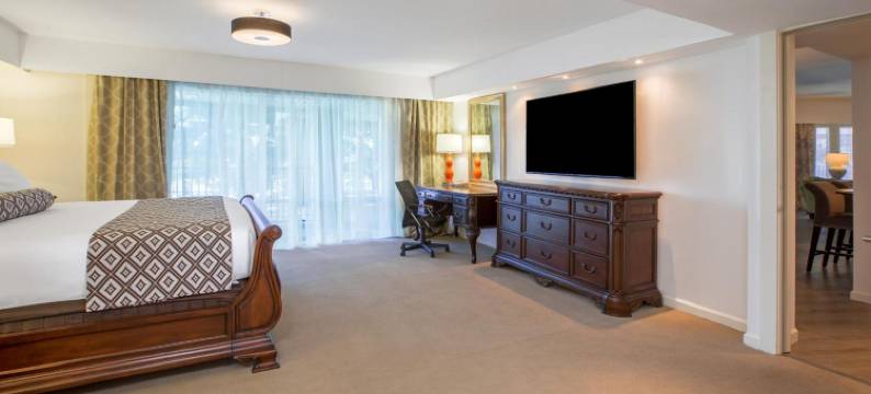 休斯顿瑞利昂特医疗中心温德姆酒店(Wyndham Houston Near NRG Park/Medical Center)图片