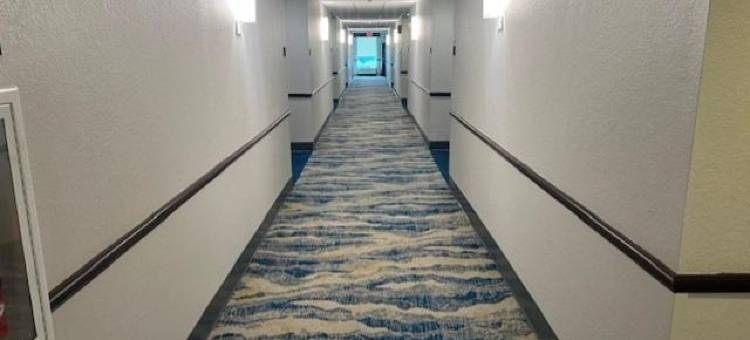 韦斯利查普尔贝斯特韦斯特酒店(Best Western Wesley Chapel)图片