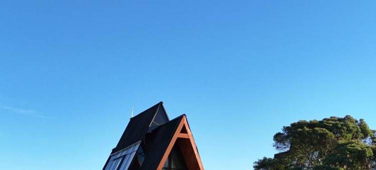 尼莫茶园度假村(Nimo Tea Resort)图片