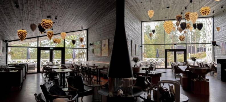 北极树屋酒店(Arctic TreeHouse Hotel)图片