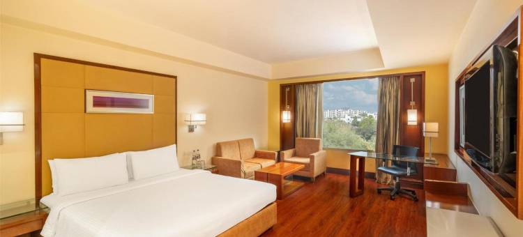 古尔冈丽柏酒店(Park Inn Gurgaon)图片