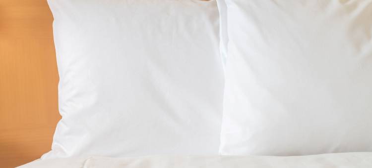 智选假日酒店-海伦(Holiday Inn Express & Suites Helen)图片