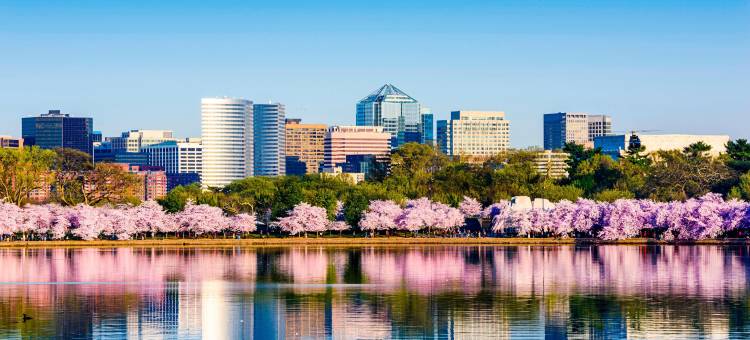 阿什本杜勒斯北SpringHill套房酒店(SpringHill Suites Ashburn Dulles North)图片