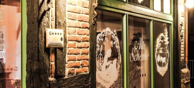 Pension Alte Scheune旅馆(Pension Alte Scheune)图片