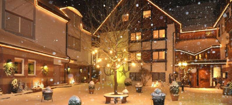 普隆德菲磨坊乡村酒店(Landhotel Pfrondorfer Mühle)图片