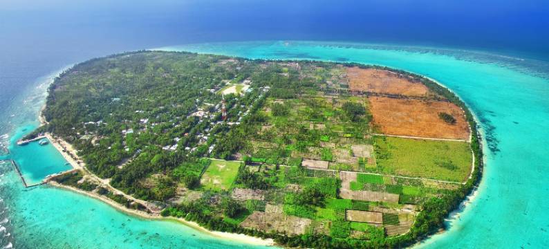 图杜阿夸布鲁酒店(Aqua Blu Thoddoo)图片