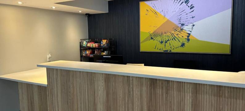 坦帕布兰登希尔顿Spark酒店(Spark by Hilton Tampa Brandon)图片