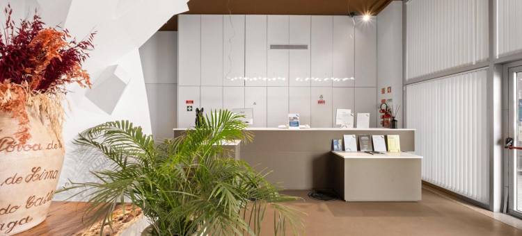 Basic Braga by Axis(Basic Braga by Axis)图片