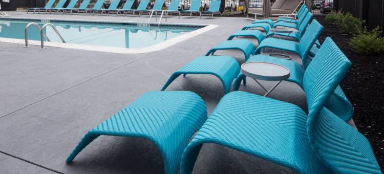 哈里斯堡英迪格酒店-赫尔塞(Hotel Indigo Harrisburg – Hershey)图片