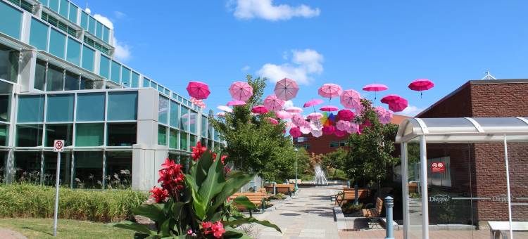 智选假日套房酒店迪耶普机场(Holiday Inn Express & Suites DIEPPE AIRPORT by IHG)图片