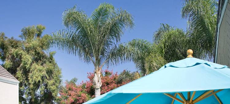 欧文光谱Residence Inn 酒店(Residence Inn Irvine Spectrum)图片