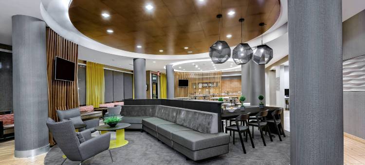 万豪圣安东尼奥海洋世界®/拉克兰万豪SpringHill酒店(SpringHill Suites by Marriott San Antonio SeaWorld®/Lackland)图片
