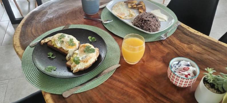 壁虎酒店(El Gecko Hotel & Tours)图片