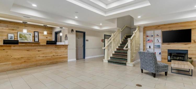 坦帕机场北丽怡酒店(Country Inn & Suites by Radisson, Tampa Airport North, FL)图片