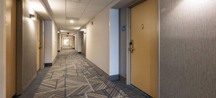 伯克利智选假日套房酒店(Holiday Inn Express & Suites Berkeley)图片