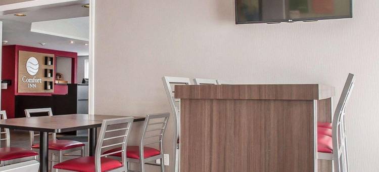 舒适酒店(Comfort Inn)图片