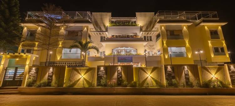 翡翠鸽(Treebo Premium Emerald Dove)图片