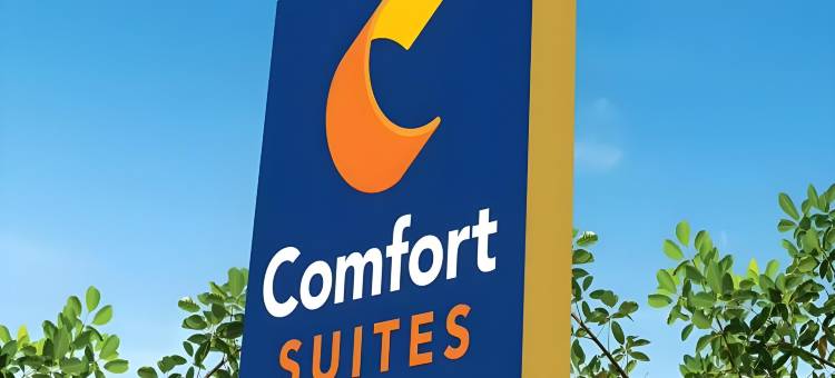 圣奥古斯汀历史区域的舒适套房(Comfort Suites St Augustine Historic District Area)图片