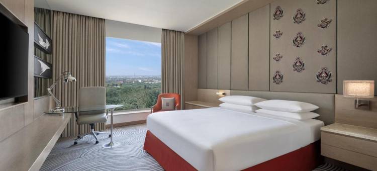 新德里喜来登酒店(Sheraton New Delhi Hotel)图片