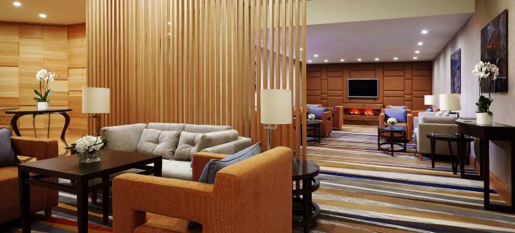 ”阿尔巴特之星“酒店公寓(Arbat Stars Hotel and Apartments (ex Marriott Novy Arbat))图片