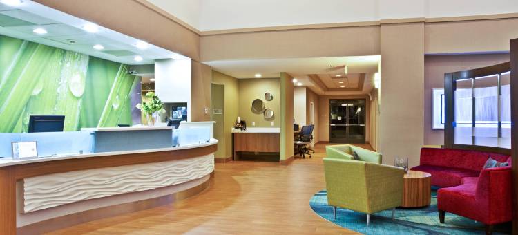 芝加哥埃尔姆赫斯特／橡树溪地区万豪SpringHill酒店(SpringHill Suites Chicago Elmhurst/Oakbrook Area)图片