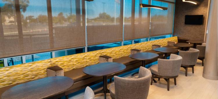 纽瓦克弗里蒙特SpringHill Suites酒店(SpringHill Suites Newark Fremont)图片