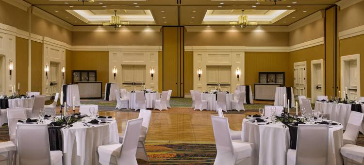 麦德威尔会议度假村及会议中心(MeadowView Conference Resort & Convention Center)图片